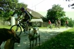 Sportovní týden HAVAX 2012