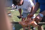 Jinolice 2012