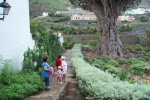 Pobyt na ostrově Tenerife