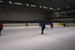 Hokejová sezona jaro 2009