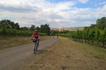 Kraví Hora 2017