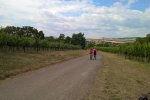 Kraví Hora 2017