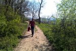 Morava 2015