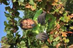 Vinobraní 2018