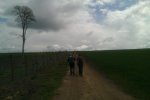 Morava 2014
