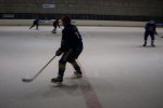 Hokejová sezona jaro 2009
