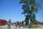 Havaxácká třístovka 2010