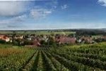 Vinobraní 2018