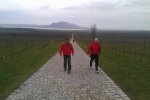 Morava 2013