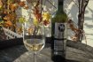 Vinobraní 2016 Vinobraní 2016