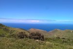 Tenerife 2017