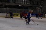 Hokejová sezona jaro 2009