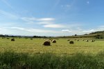Havaxácká třístovka - VII. ročník