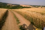 Léto na Moravě 2014