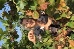 Vinobraní 2018