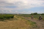 Kraví Hora 2017