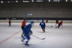Hokejová sezona jaro 2009