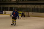 Hokejová sezona jaro 2009
