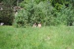 Pánská jízda s dětmi - Jinolice 2008