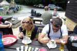 Havaxácká třístovka – VIII. Ročník 