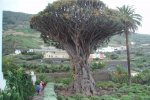 Pobyt na ostrově Tenerife