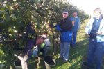 Vinobraní 2013