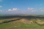 Morava 2014