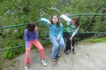Jinolice 2010
