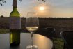 Vinobraní 2022 Vinobraní 2022