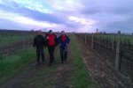 Morava 2014