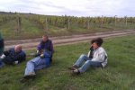 Vinobraní 2013